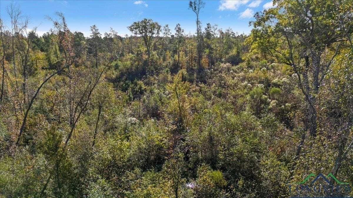 13.47 acres in Upshur County - photo 9