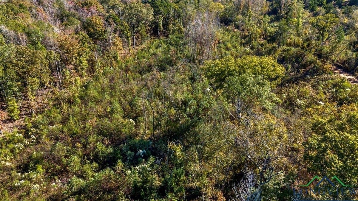 13.47 acres in Upshur County - photo 8