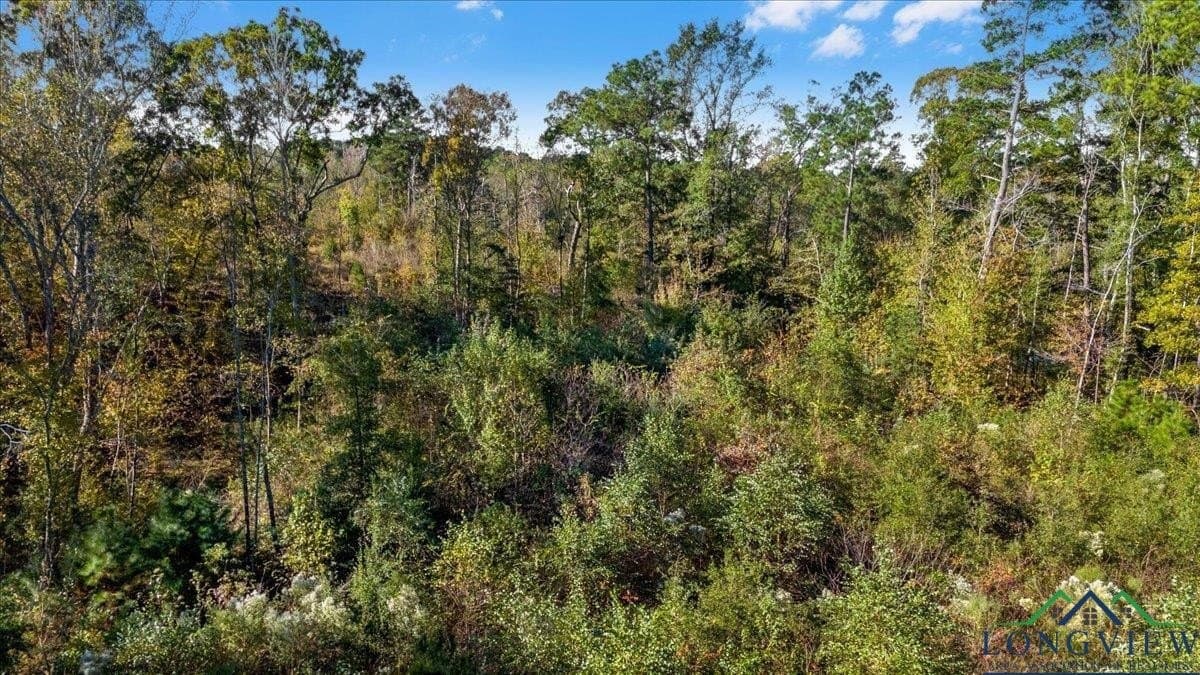 13.47 acres in Upshur County - photo 10