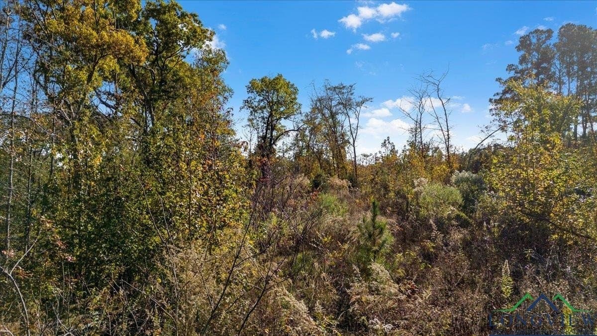 13.47 acres in Upshur County - photo 6
