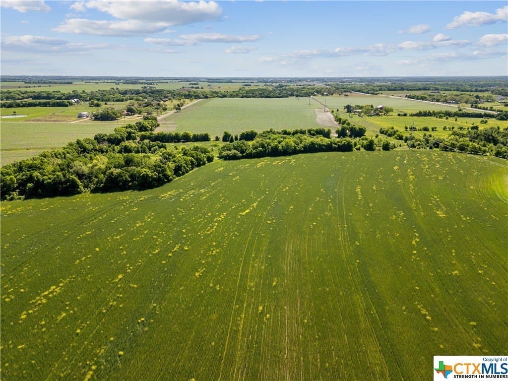 41 acres in Bell County - photo 6