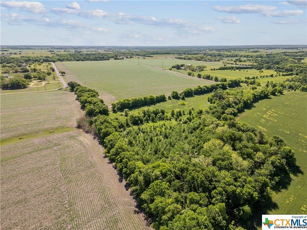 41 acres in Bell County - photo 8