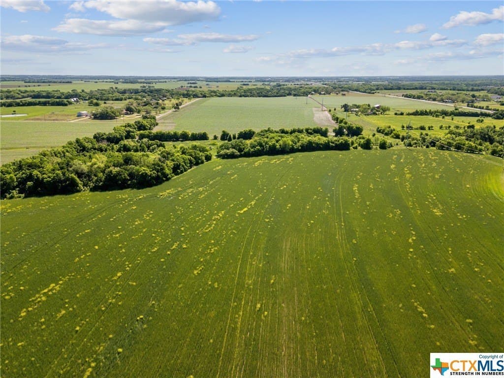 41 acres in Bell County - photo 7