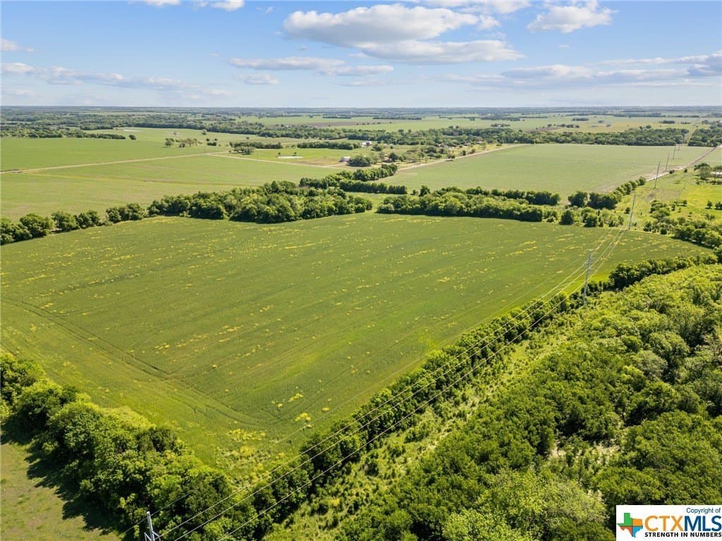 41 acres in Bell County - photo 5