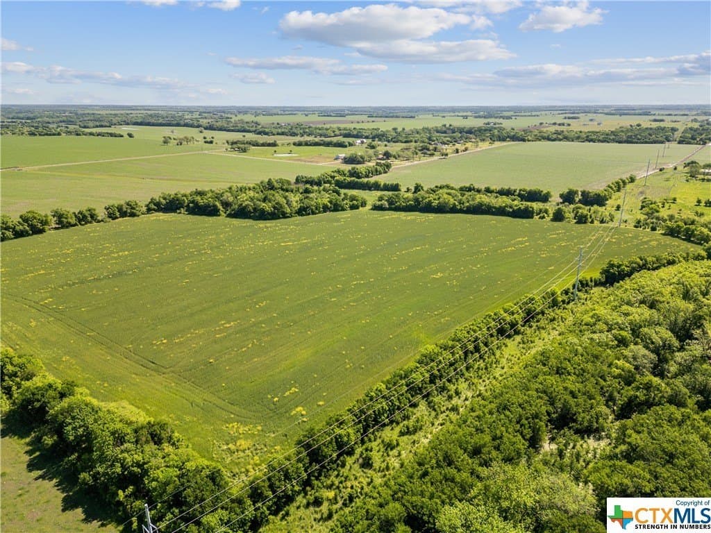 41 acres in Bell County - photo 4