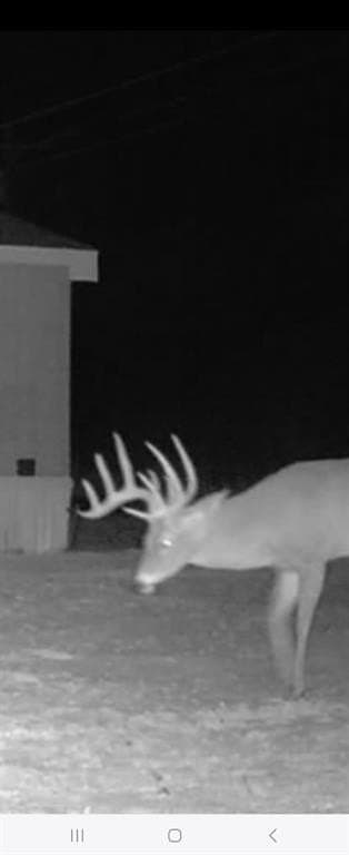33.9 acres in Haskell County - photo 37