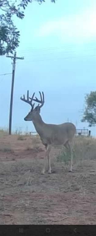 33.9 acres in Haskell County - photo 36