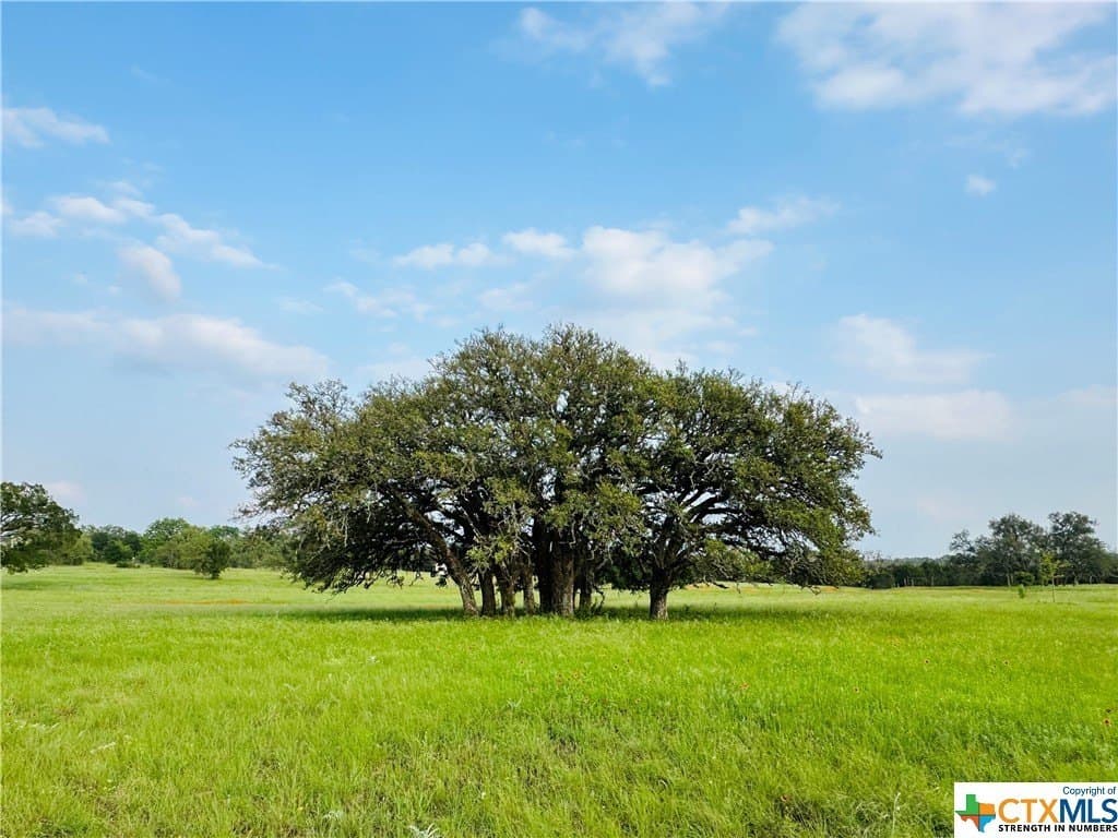 5.25 acres in Texas County - photo 13