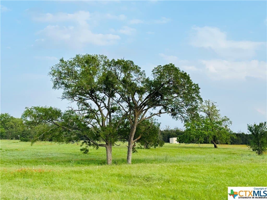 5.25 acres in Texas County - photo 14