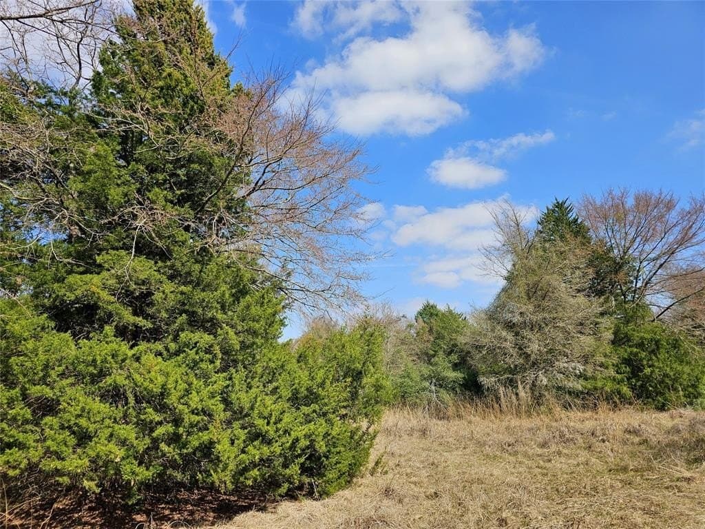 1.97 acres in Limestone County - photo 21
