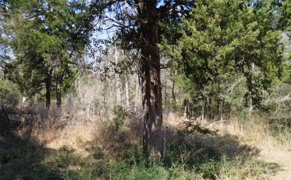 1.97 acres in Limestone County - photo 24