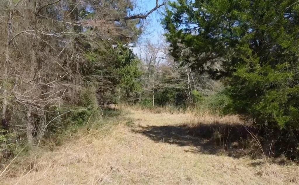 1.97 acres in Limestone County - photo 22