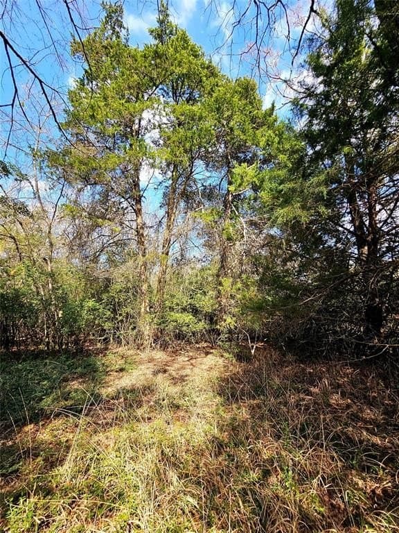 1.97 acres in Limestone County - photo 23