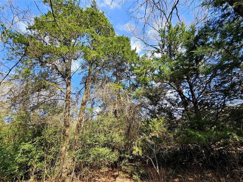 1.97 acres in Limestone County - photo 17
