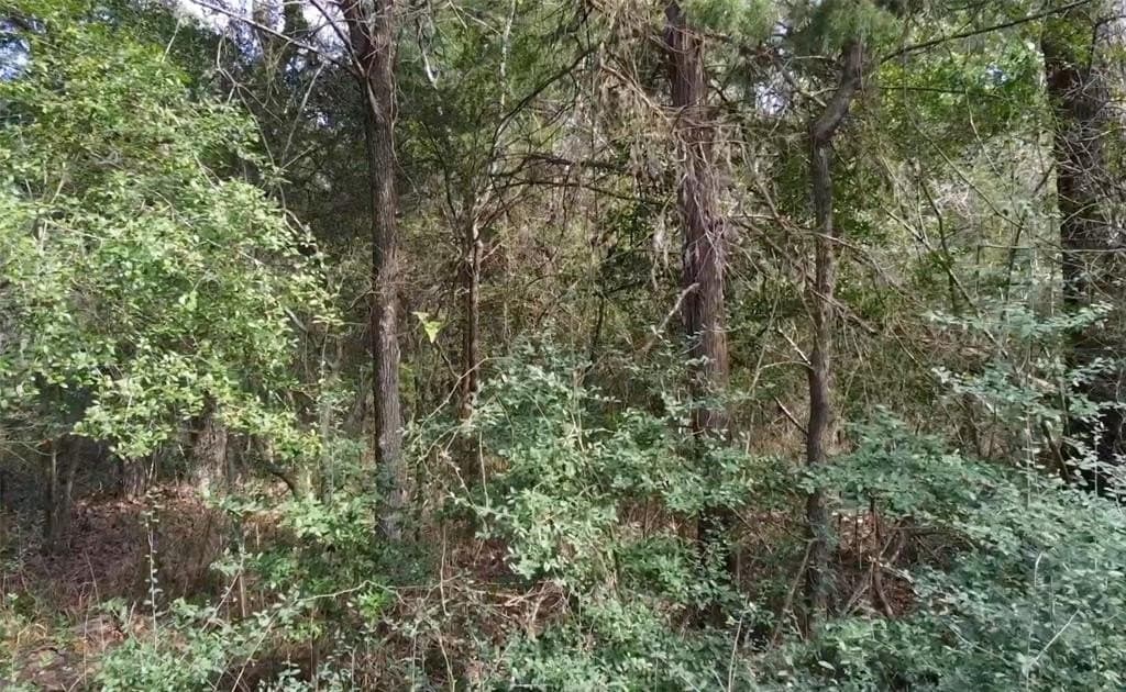 1.97 acres in Limestone County - photo 13