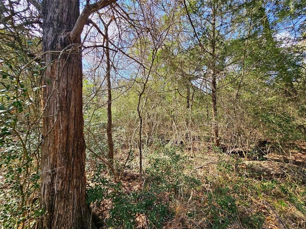 1.97 acres in Limestone County - photo 15
