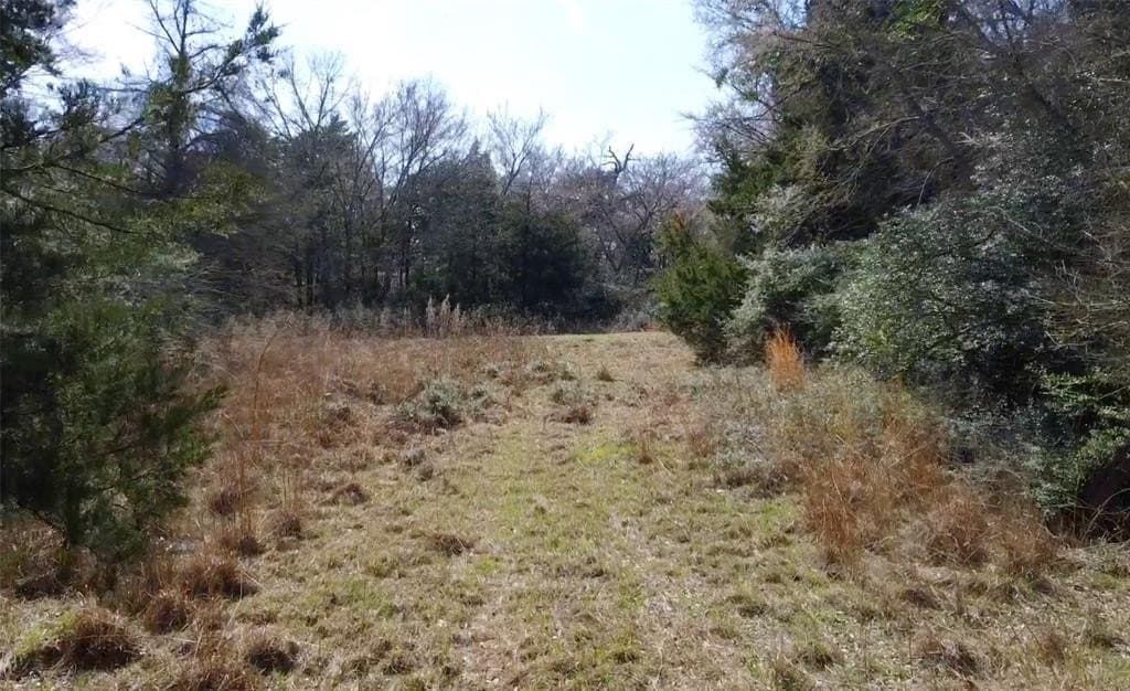 1.97 acres in Limestone County - photo 11