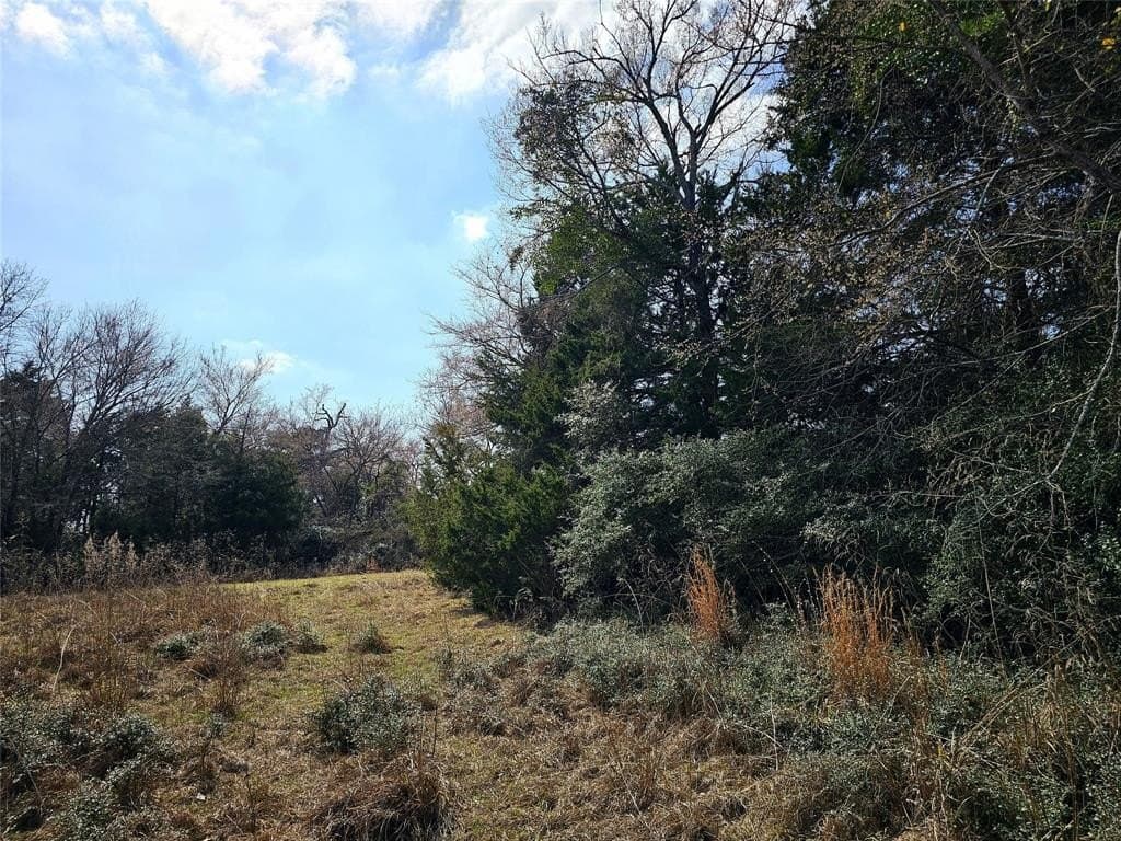 1.97 acres in Limestone County - photo 19