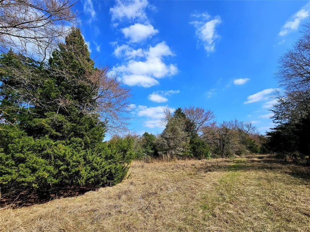 1.97 acres in Limestone County - photo 18