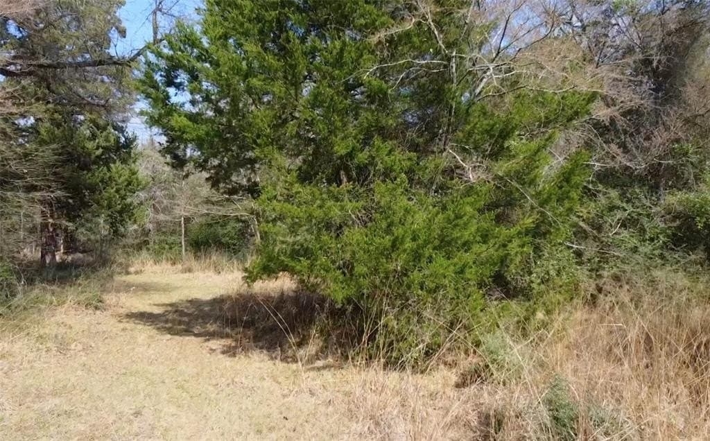 1.97 acres in Limestone County - photo 12