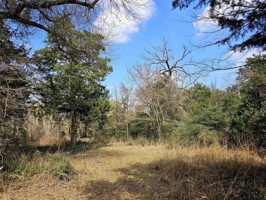 1.97 acres in Limestone County - photo 20