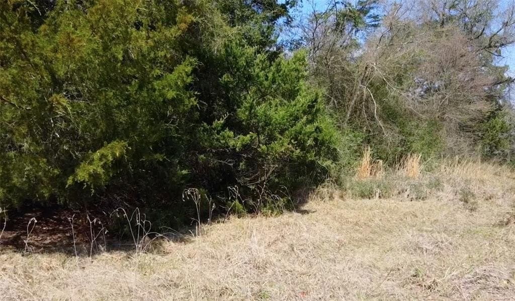 1.97 acres in Limestone County - photo 10