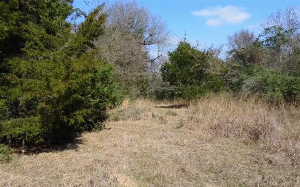 1.97 acres in Limestone County - photo 14