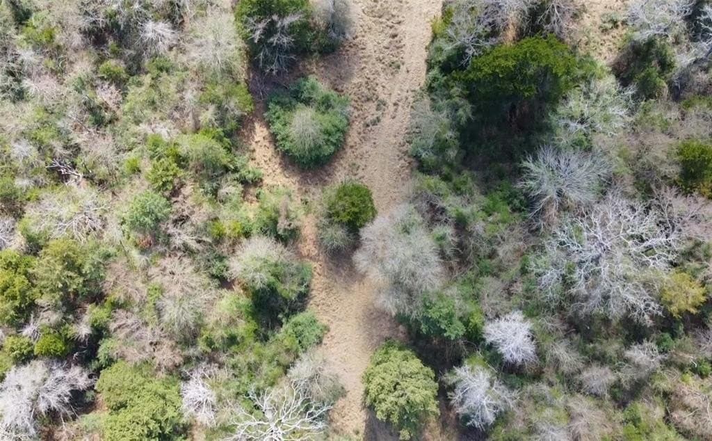 1.97 acres in Limestone County - photo 9