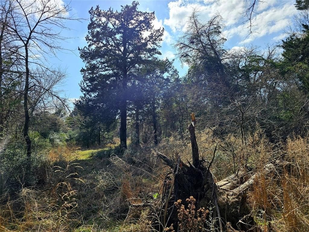 1.97 acres in Limestone County - photo 16