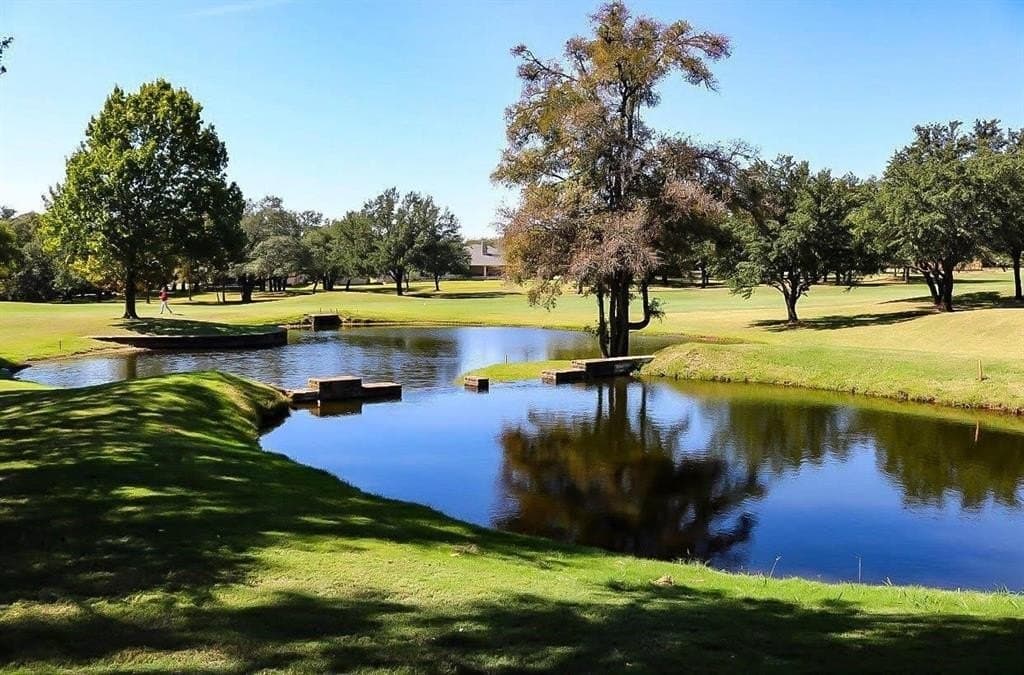 0.16 acres in Hill County - photo 9