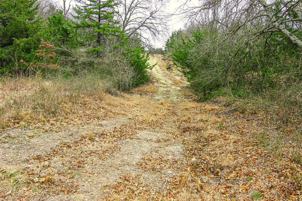 180.7 acres in Montague County - photo 13