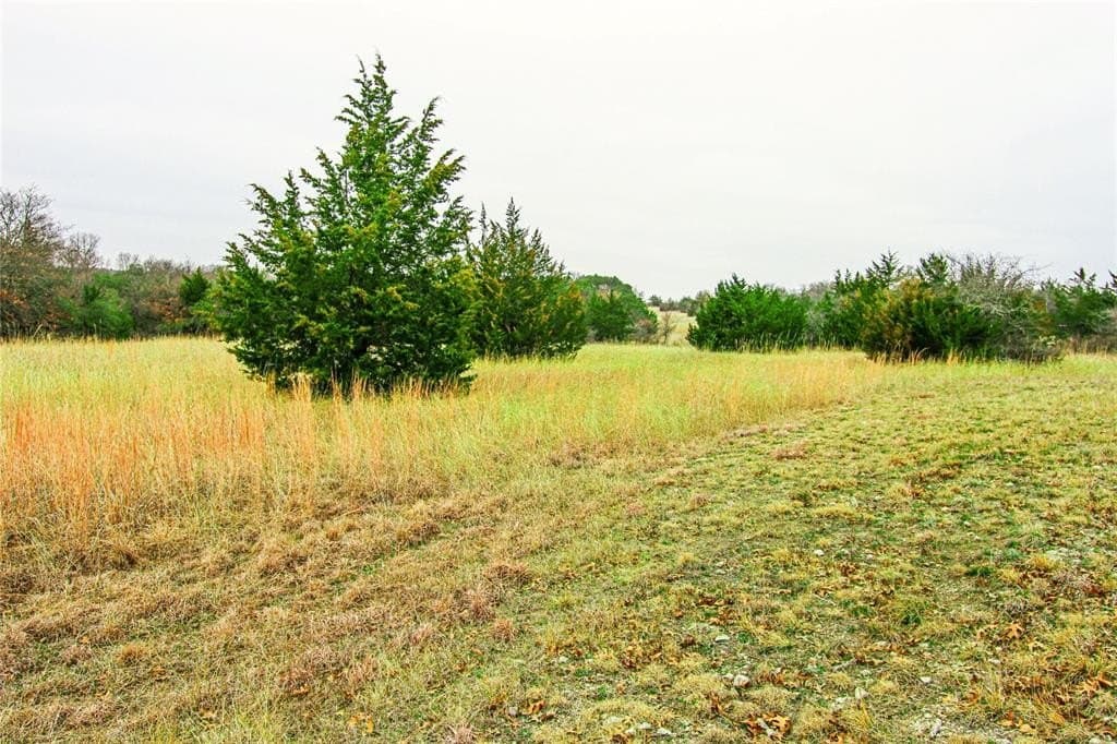 180.7 acres in Montague County - photo 22