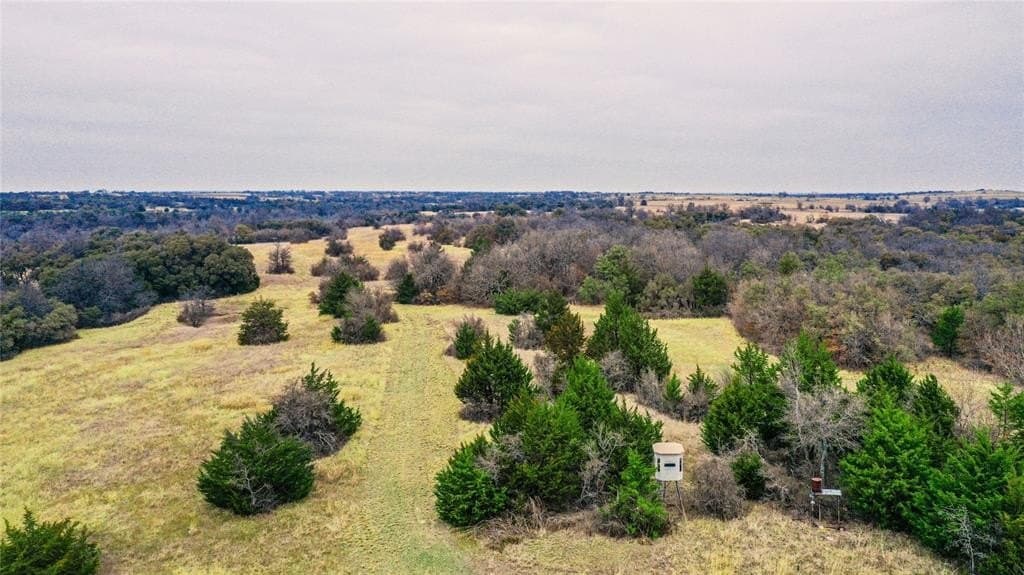 180.7 acres in Montague County - photo 20