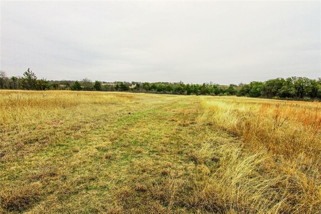 180.7 acres in Montague County - photo 12