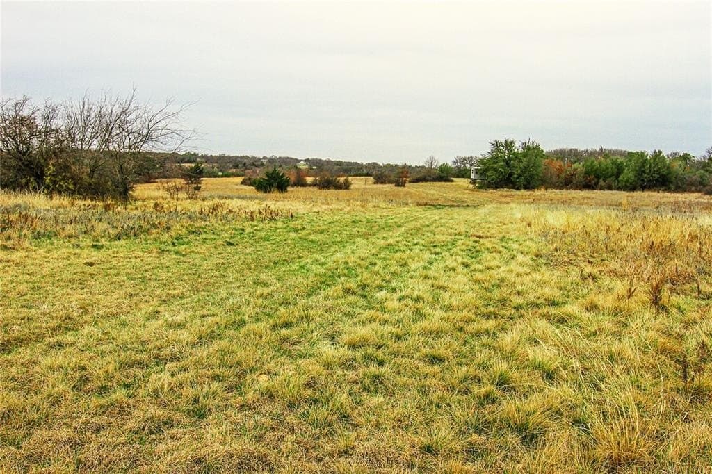 180.7 acres in Montague County - photo 9