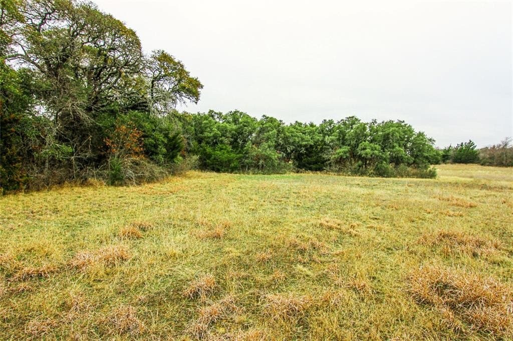 180.7 acres in Montague County - photo 11