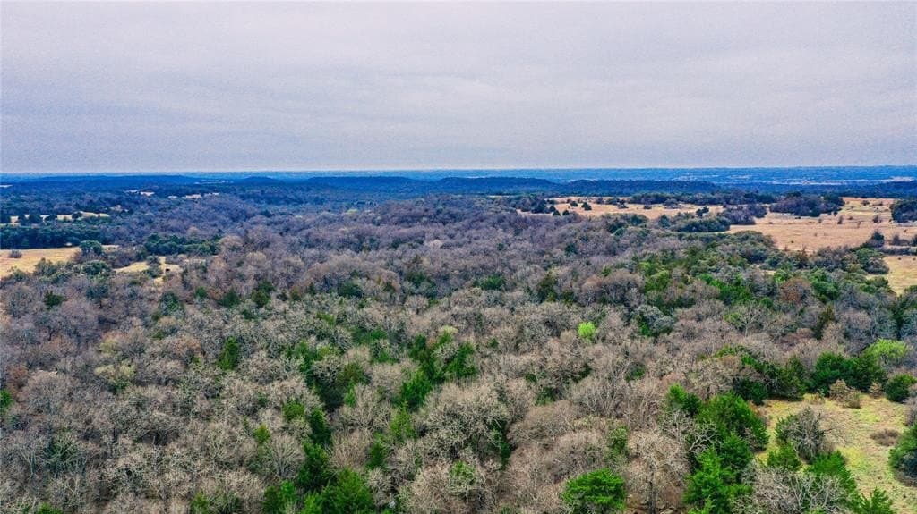 180.7 acres in Montague County - photo 15