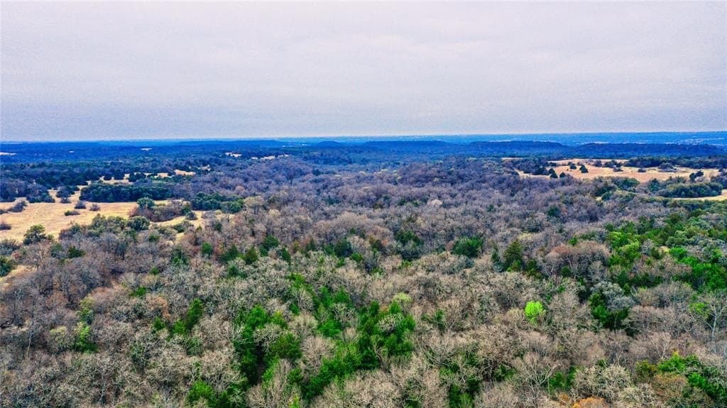 180.7 acres in Montague County - photo 6