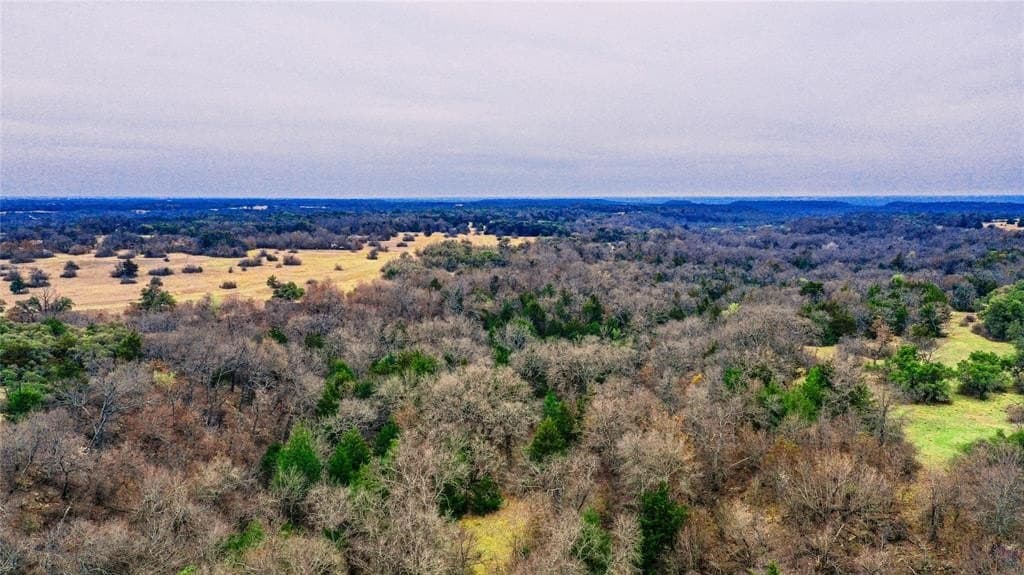 180.7 acres in Montague County - photo 5