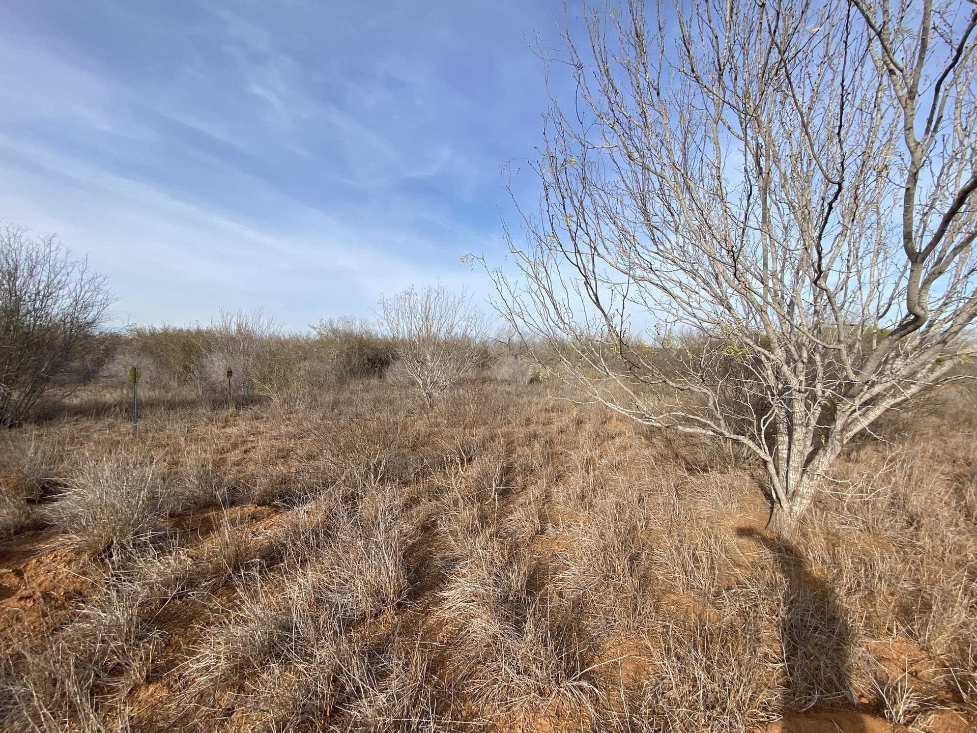29 acres in La Salle County - photo 8