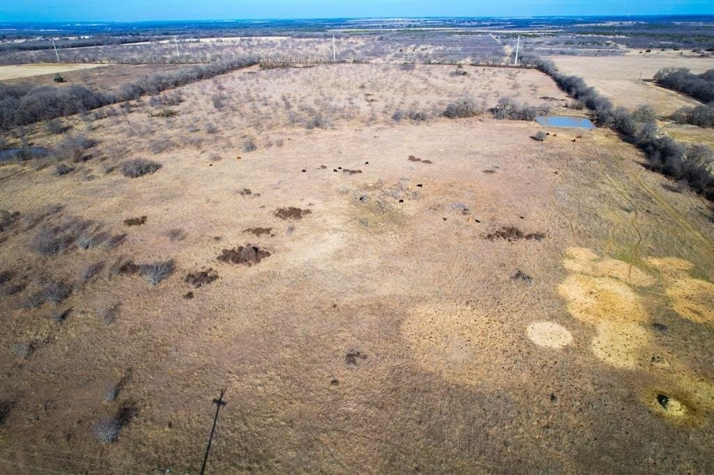 50 acres in Hill County - photo 5