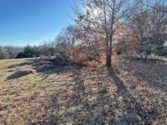 2.01 acres in Grayson County - photo 4