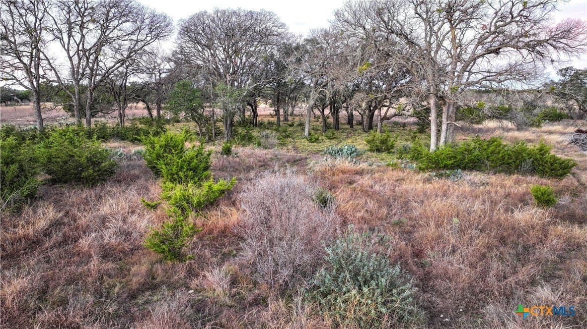 10.4 acres in Burnet County - photo 5