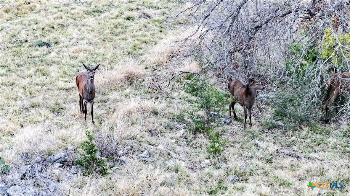 10.4 acres in Burnet County - photo 6