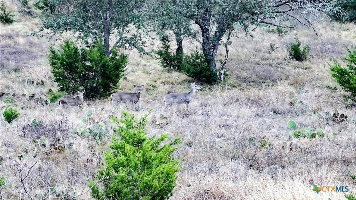 10.4 acres in Burnet County - photo 7