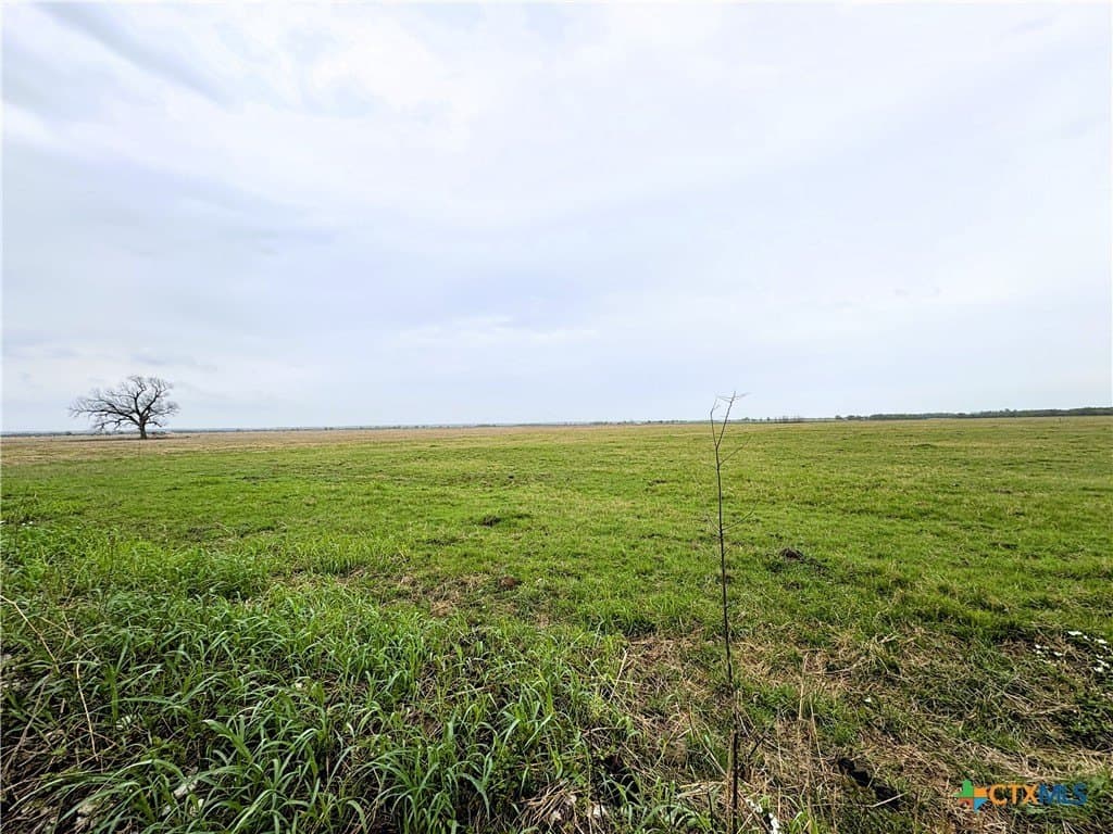 11 acres in Falls County - photo 3