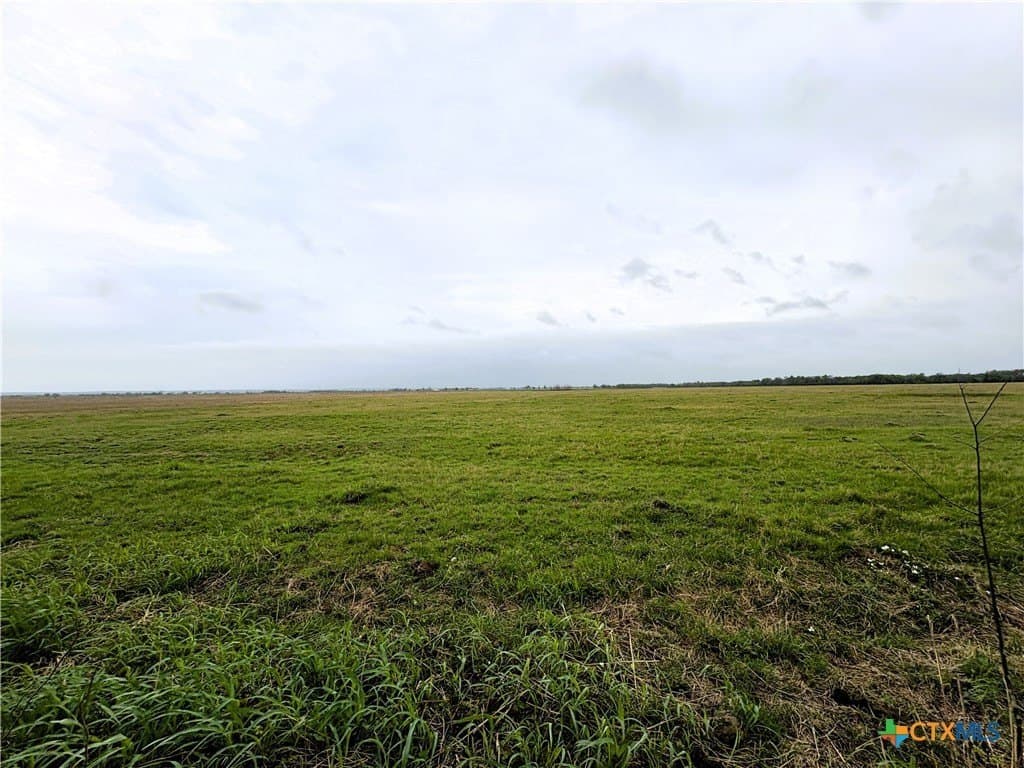 11 acres in Falls County - photo 6