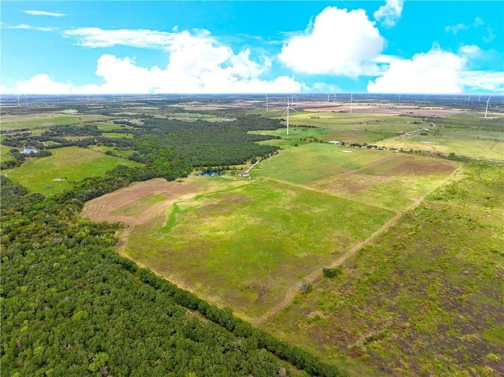 25 acres in Limestone County - photo 25