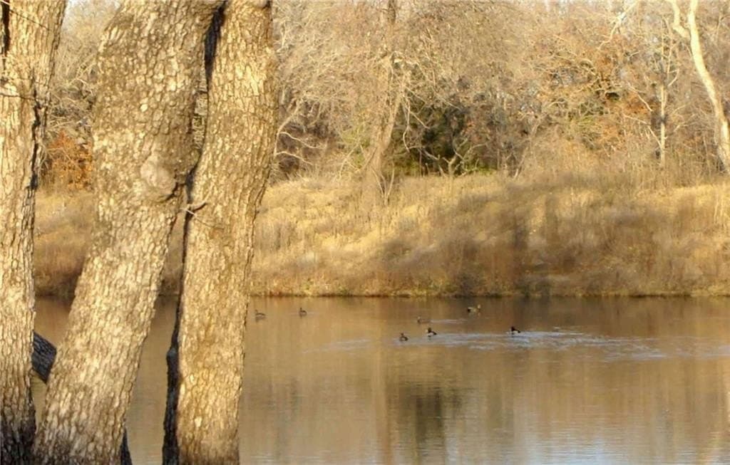 25 acres in Limestone County - photo 30