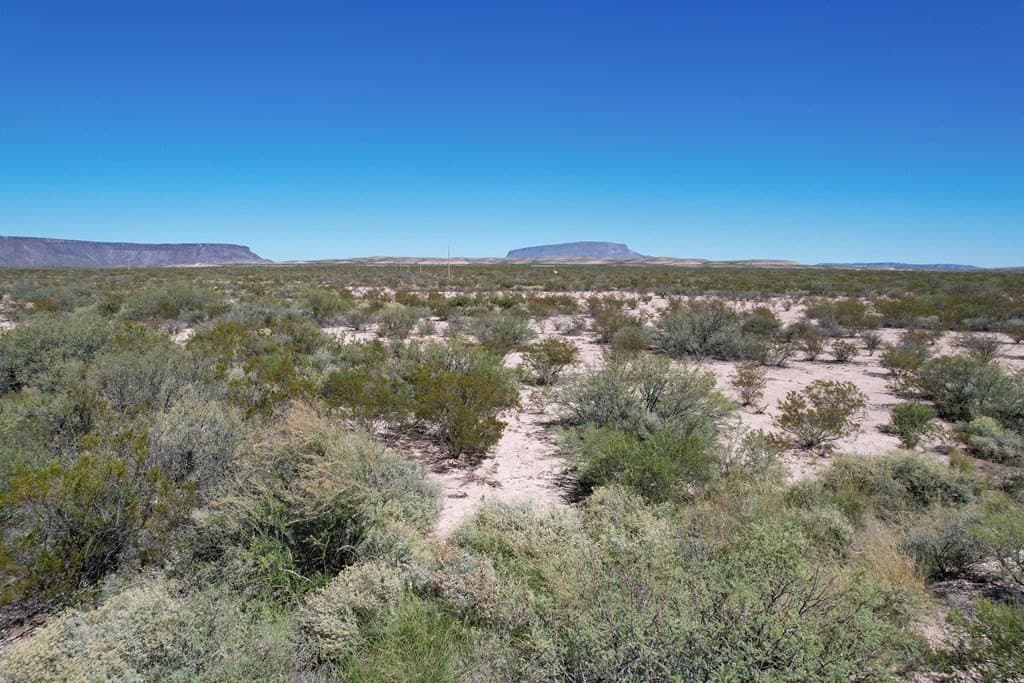 81.11 acres in Brewster County - photo 5